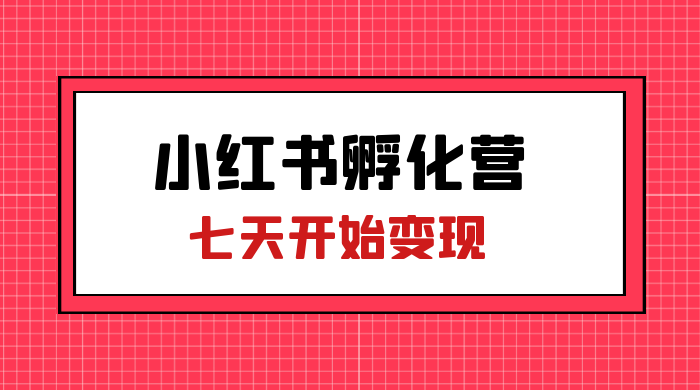 价值 2000+ 的小红书孵化营项目，超级大蓝海，七天即可开始变现，稳定月入 1W+ - 淘金派资源网
