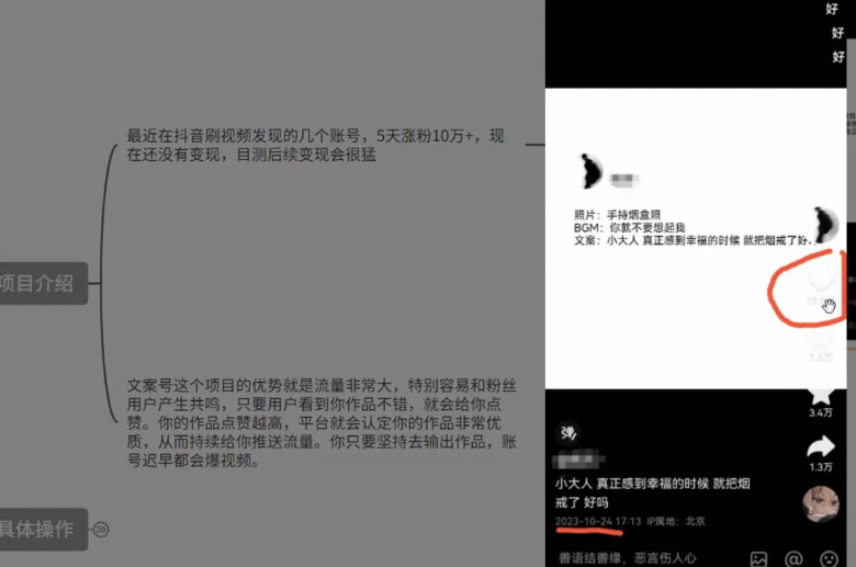 图片[2] - 最新抖音暴力文案号，五天涨粉 10w+，喂饭级拆解教学 - 淘金派资源网