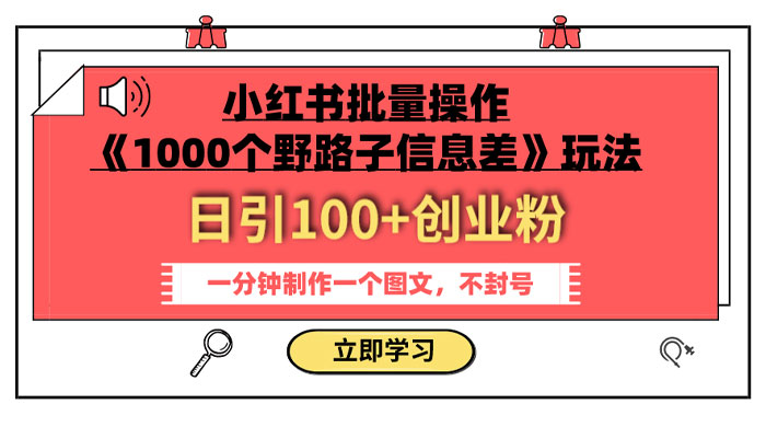 小红书批量操作《 1000 个野路子信息差》玩法，日引 100+ 创业粉，一分钟一个图文 - 淘金派资源网