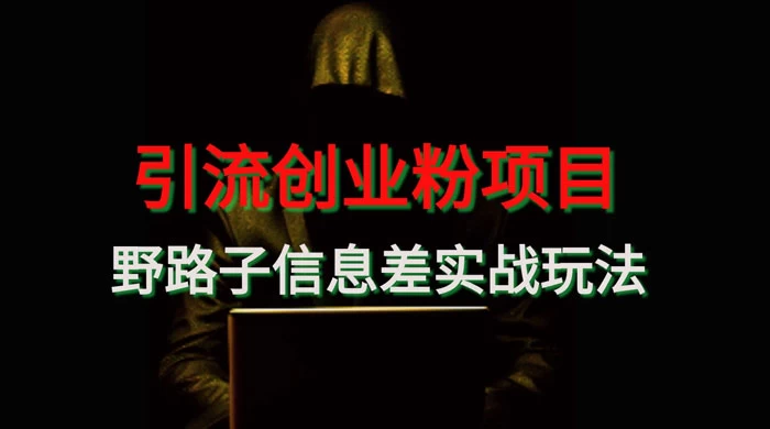 野路子信息差玩法实战教学，引流创业粉 - 淘金派资源网