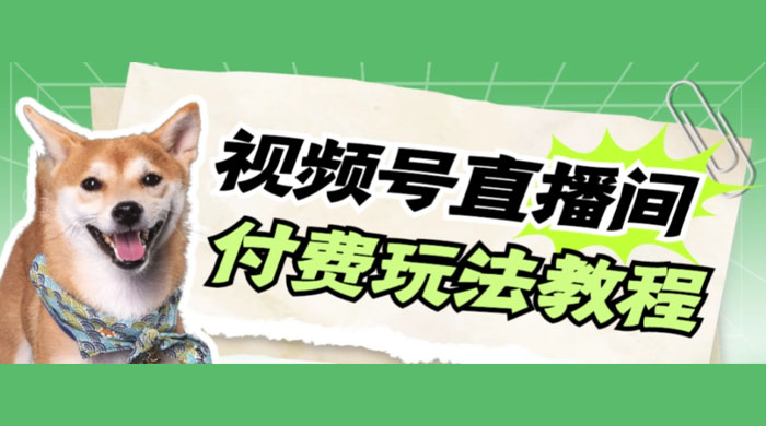 视频号美女付费无人直播，轻松日入500+（详细玩法教程） - 淘金派资源网