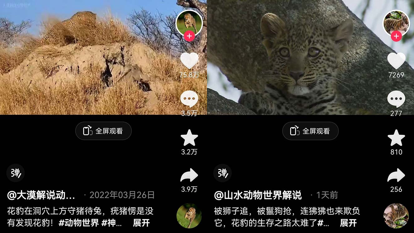 外面卖 1699 的国外纪录片解说：动物、美食、动画片解说，稳过中视频 - 淘金派资源网