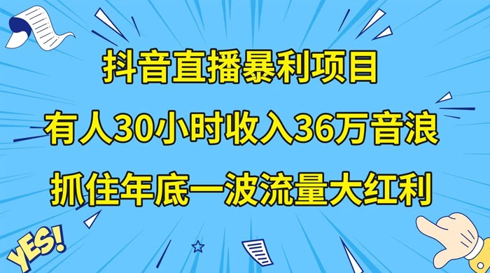 抖音直播暴利项目，有人 30 小时收入 36 万音浪，公司宣传片年会视频制作，抓住年底一波流量大红利 - 淘金派资源网