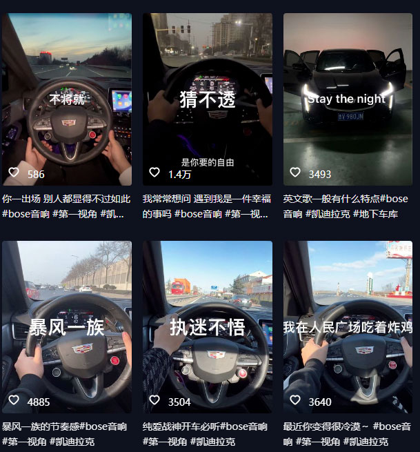 图片[2] - 抖音开车视频项目：0基础操作，每天五分钟，月入过万 - 淘金派资源网