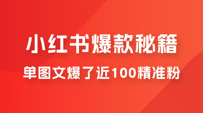 小红书单篇图文连爆秘籍，单图文爆了近 100 精准粉 - 淘金派资源网