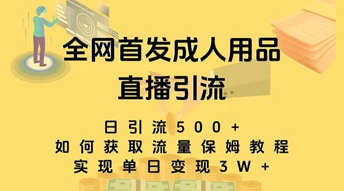 成人用品直播引流获客暴力玩法，单日引流500+，变现 3w+，保姆级教程 - 淘金派资源网