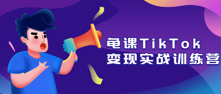 龟课TikTok变现实战训练营 - 淘金派资源网
