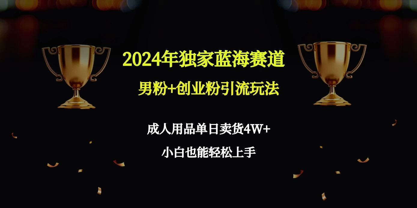 2024独家蓝海赛道，男粉＋创业粉引流玩法。 - 淘金派资源网