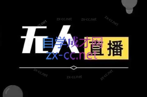 宝子哥·无人直播-非实时防风技术(更新4月) - 淘金派资源网