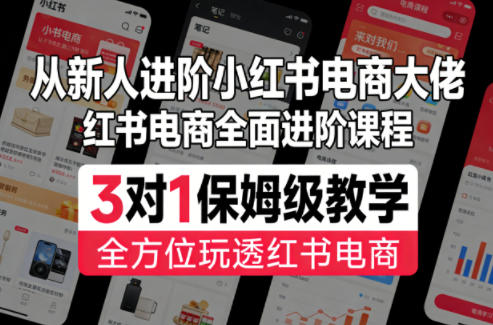 从新人进阶小红书电商大佬，红书电商全面进阶课程，3对1保姆级教学，全方位玩透红书电商 - 淘金派资源网