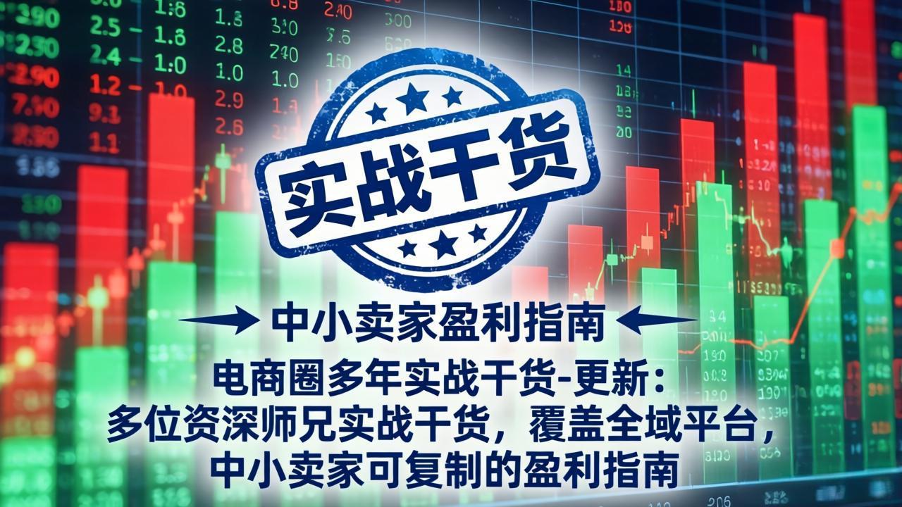 电商圈多年实战干货-更新4月：多位资深师兄实战干货，覆盖全域平台，中小卖家可复制的盈利指南 - 淘金派资源网