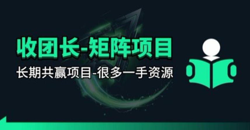 【团长合作】视频矩阵项目_招发手矩阵+剪辑师，共赢项目【揭秘】 - 淘金派资源网
