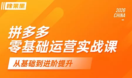 仙道电商·拼多多零基础运营实战课 - 淘金派资源网