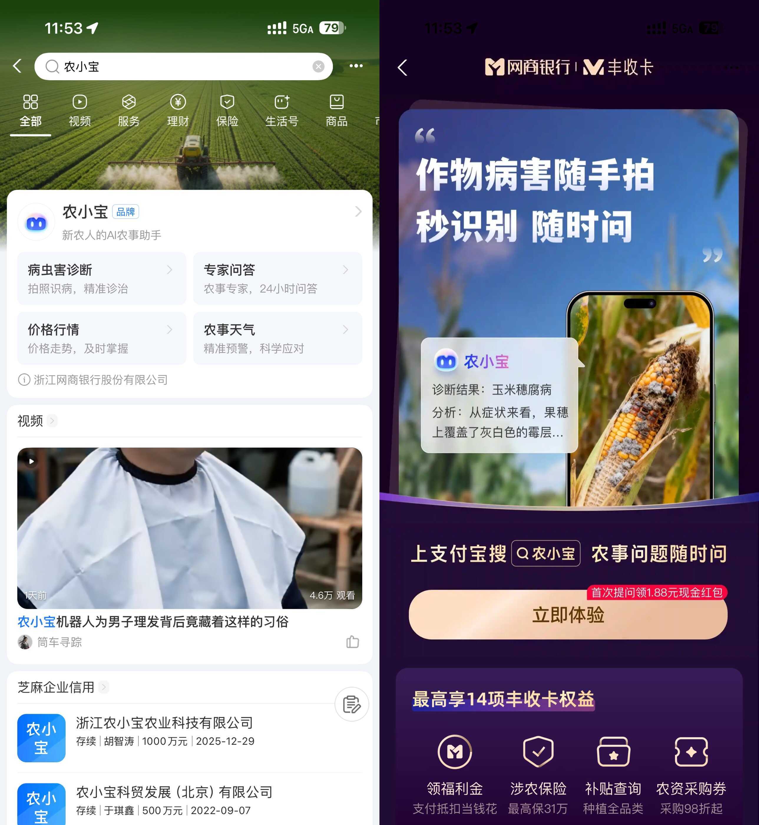 支付宝农小宝首次提问得1.88亓 - 淘金派资源网