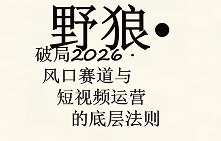 野狼团队·多平台实操运营课(更新4月) - 淘金派资源网