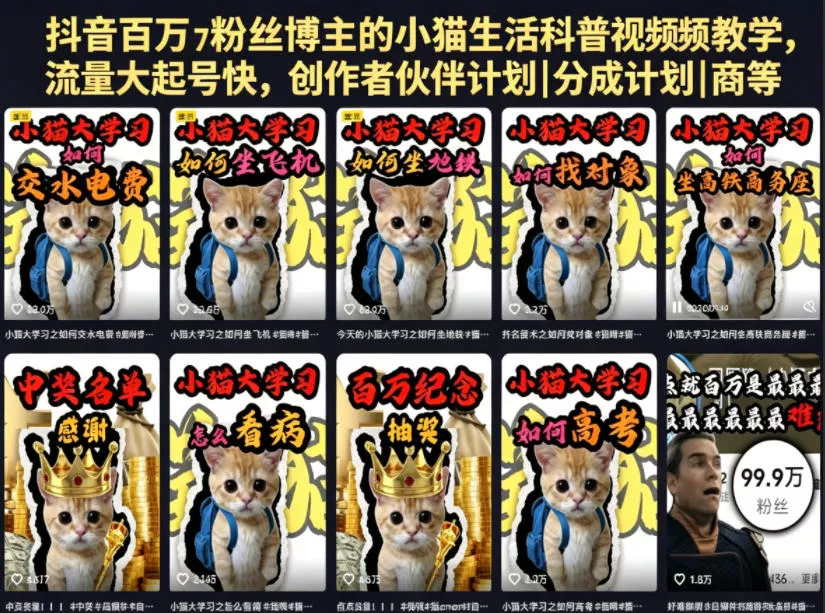 抖音百万粉丝博主的小猫生活科普视频教学，流量大起号快，创作者伙伴计划|分成计划|商单|收徒等 - 淘金派资源网