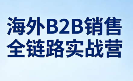 雨哥·海外B2B销售全链路实战营 - 淘金派资源网