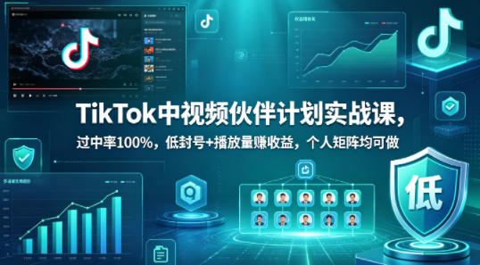 TikTok中视频伙伴计划实战课，过中率100%，低封号+播放量賺收益，个人矩阵均可做 - 淘金派资源网