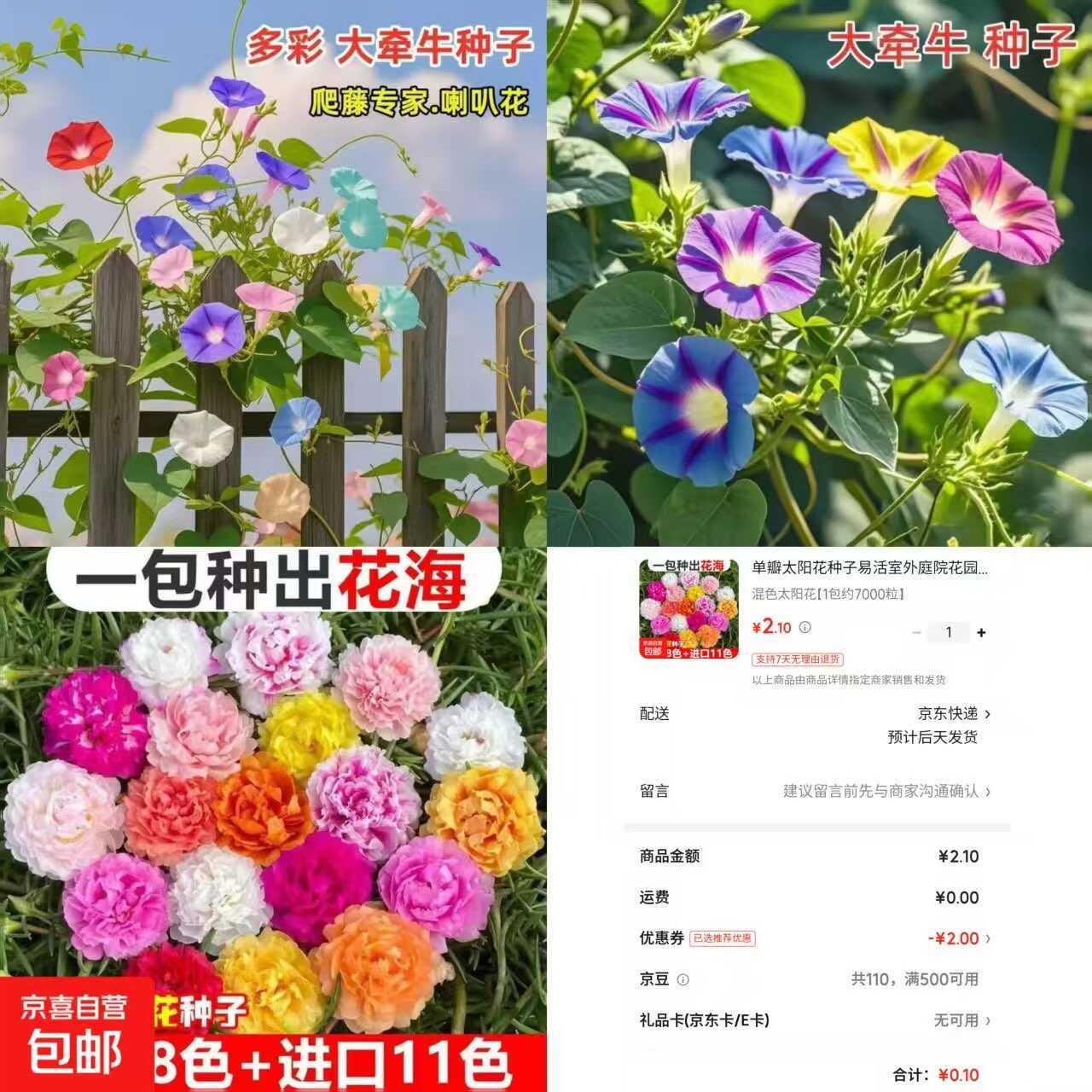 京东0.1太阳花种子约7000粒 - 淘金派资源网