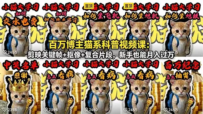 百万博主猫系科普视频课：剪映关键帧+抠像+复合片段，新手也能月入过万 - 淘金派资源网