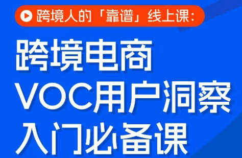 跨境电商VOC用户洞察入门必备课 - 淘金派资源网