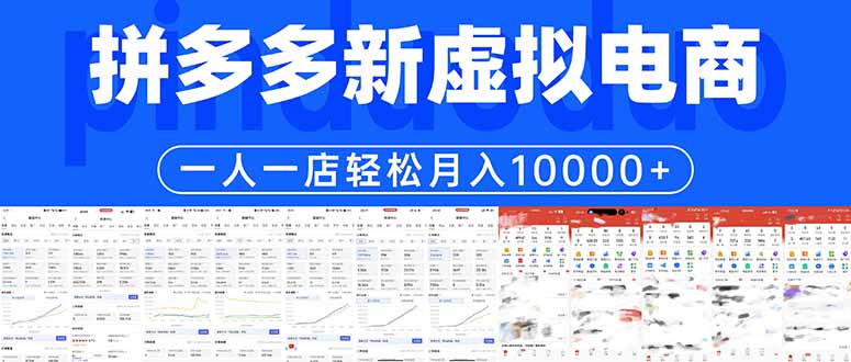拼多多虚拟电商一人一店轻松月入10000+ - 淘金派资源网