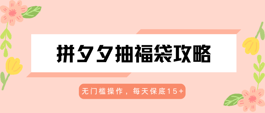拼夕夕抽福袋攻略，无门槛操作，每天保底15+ - 淘金派资源网