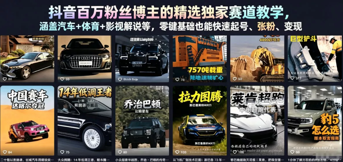 抖音百万粉丝博主的精选独家赛道教学，涵盖汽车+体育+影视解说等，零基础也能快速起号、涨粉、变现 - 淘金派资源网