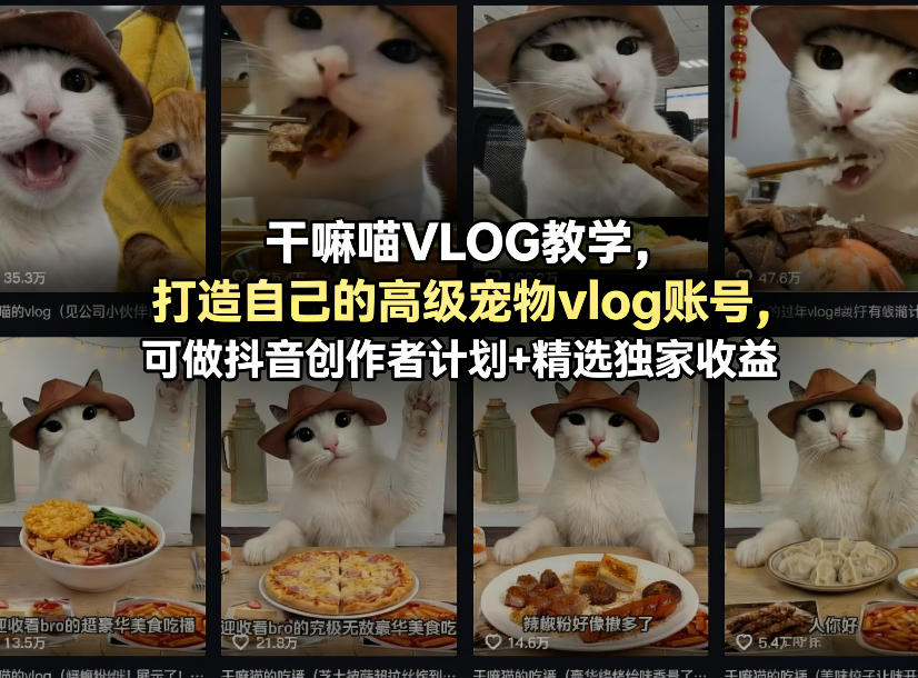 干嘛喵VLOG教学，打造自己的高级宠物vlog账号，可做抖音创作者计划+精选独家收益 - 淘金派资源网