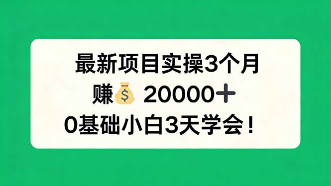最新项目实操3个月，赚钱20000+，0基础小白3天学会！ - 淘金派资源网