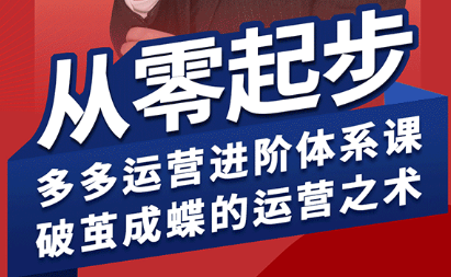 海神·拼多多运营进阶系统课(更新2026) - 淘金派资源网