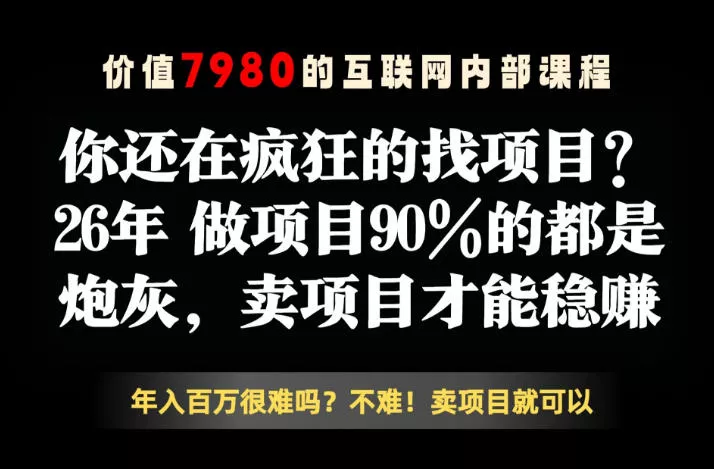 26年请不要疯狂的找项目了，卖项目远比你想象的暴利，你也可以月入10W+【揭秘】 - 淘金派资源网