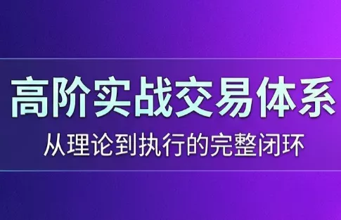 高老师·高阶实战交易体系(更新6月) - 淘金派资源网