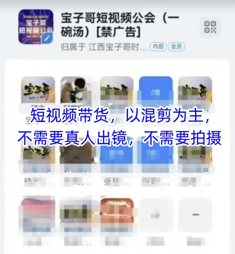 宝子哥头部团队短视频带货，以混剪为主，不需要真人出镜，不需要拍摄【更新26年3月】 - 淘金派资源网